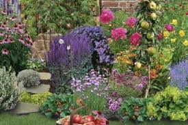 Alle Beetideen Inkl Pflanzplan Pflegehinweise Blumenbeet Anlegen Pflanzplan Garten Anlegen
