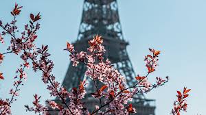 We did not find results for: Spring In Paris The Best Places To See The Blooms Limitless Secrets