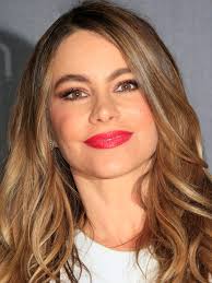 Sofia Vergara in court fight over frozen embryos