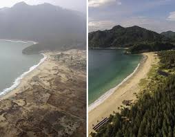 Image result for 2004 tsunami