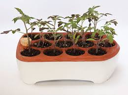 oakland made orta seed pots