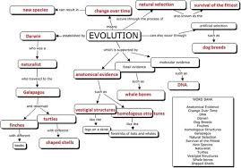 Theory Of Evolution Theory Of Evolution Concept Map Answers