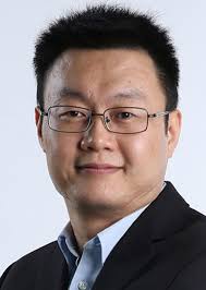 Electrochemistry in Magnetic Fields