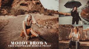 Brown Moody Lightroom Mobile Preset Free Lightroom Preset Free Lightroom Presets Portraits Lightroom Presets Free Lightroom