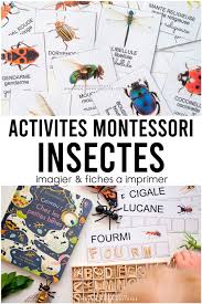Livres Et Activites Sur Les Insectes Et Autres Petites Betes En Maternelle Coschooling En 2020 Activites Montessori Montessori Activite