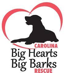 The bluepearl pet hospital in raleigh, nc (formerly vsh raleigh) is a 24 hour emergency vet serving the greater raleigh community. Carolina Big Hearts Big Barks Rescue Carolina Big Hearts Big Barks Rescue