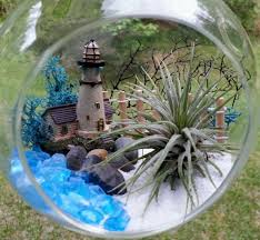 Lighthouse Air Plant Terrarium Kit Large 6 Hanging Or Standing Beach Terrarium Gift By Giftedglassgard Air Plant Terrarium Terrariums Kits Terrarium Wedding