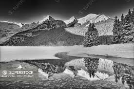 Image result for White 1990 Land O Lakes