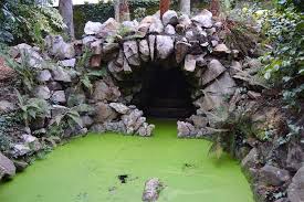 What we found was a small but good collection of slides, swings and roundabouts that looked clean and well cared for. Jardin Public De Cherbourg Cherbourg Octeville 2021 All You Need To Know Before You Go With Photos Tripadvisor