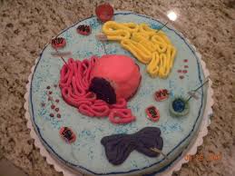 Maybe you would like to learn more about one of these? Photo By Courtney Arena Cells Project Cake Animal Cell Project