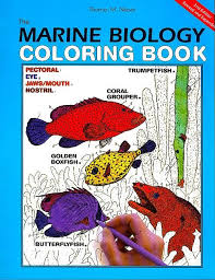584x785 human cell coloring pages biology coloring book biology coloring. The Marine Biology Coloring Book 2nd Edition Harpercollins