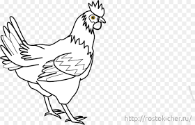 Check spelling or type a new query. Silkie Ayam Buku Mewarnai Gambar Png