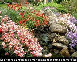 Cette scène vous offre un aperçu des plantes les plus adaptées à un jardin de rocaille et leur effet. Les Fleurs De Rocaille Amenagement Et Choix Des Varietes