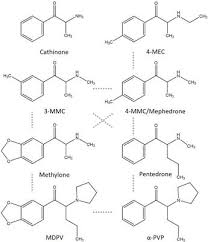Laid back behind my pc while watching series (blacklist) and tinychatting. Frontiers Hazard Characterization Of Synthetic Cathinones Using Viability Monoamine Reuptake And Neuronal Activity Assays Neuroscience