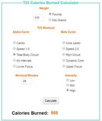 T25 Calories Burned Calculator Homeworkoutexpert Com