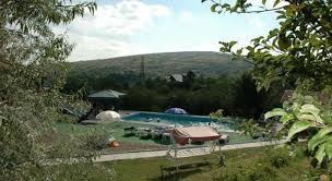 Best sarata monteoru b&bs on tripadvisor: Bookfast Ro Vila Olga Sarata Monteoru Romania