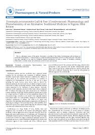 Image result for Terminalia macroptera