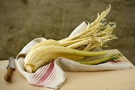 Come si puliscono i cardi. Cardi Il Cardo Gobbo Di Nizza Monferrato Ilcuocoincamicia Com