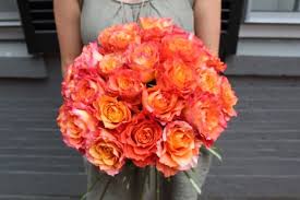 We feature some of our favorite modern roses for cut flowers that we grow on our farm from weeks, meilland, kordes, david austin and more. Rouvalis Flowers Gardens Boston S Luxury Florist Offering Flower Delivery Plants Garden Design And Weekly Floral Stay Connected With Rouvalis Flowers Gardens Blog Free Spirit Rose