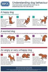 Dog Body Language Chart The Clues To Your Pets Well Being Dog Body Language Dog Behavior Dog Language