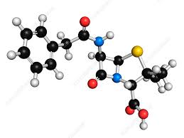 Image result for Penicillin