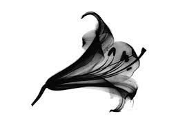 Pin On Tattoos I Like