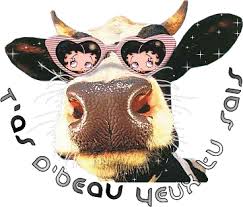 Résultat de recherche d'images pour "gifs animaux humour"