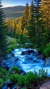 Nature Nature Backgrounds Hd Nature Wallpapers Nature Wallpaper