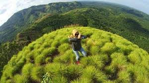 Oleh sebab itu, berikut tempat wisata di lampung tengah yang hits dikunjungi wisatawan. 10 Tempat Wisata Di Lampung Tengah Yang Menarik Dan Eksotis