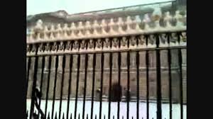Armadillo is based in broadway market. Home With The Armadillo By Gary P Nunn London Homesick Blues Youtube