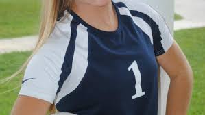 Injury couldn't slow Dwyer volleyball standout