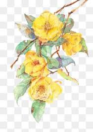In addition, all trademarks and usage rights belong to the related institution. Yellow Flowers Watercolor Flower Vector Flower Png Images Watercolor Flowers Paintings