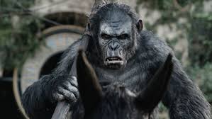 Dieses featurette beschreibt nochmal was bisher passiert ist im planet der affen universum und was uns im neuen film planet der affen: Dvdrip Ganzer Planet Der Affen Survival Stream Deutsch 1080 Hd Planet Der Affen Survival Deutsch