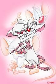 Complete episode/character guides, track dvd releases, get show updates and trivia (488 fans). 50 Pinky And The Brain Ideas In 2021 Animaniacs Pinky First Animation