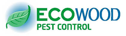 These insects can be tough to kill. Ecowood Pest Control Home Facebook