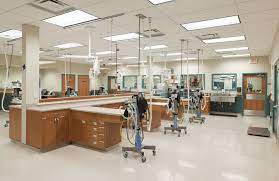 Rfa Red Bank Veterinary Hospital Tinton Falls Nj