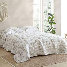 Comforter Sets Coverlets Spotlight