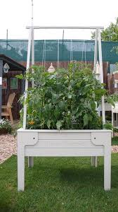 tomato garden, vegetable garden