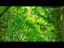 Ye Kaha Aa Gaye Hum Episode188 Free Mp4 Video Download Jattmate Com Amitabh bachchan, shashi kapoor, jaya bachchan, rekha & sanjeev kumar lyrics by: jattmate com