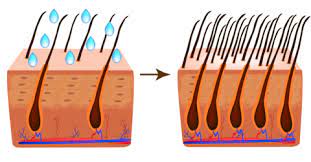 Vitamin d helps hair follicles maintain hairs' life cycle. 11 Vitamins And Minerals Deficiencies That Cause Hair Loss Drformulas