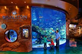 Mermaids Aquarium Silverton Las Vegas Free Shuttle From Ceaser S Las Vegas Vacation Vegas Vacation Aquarium Las Vegas
