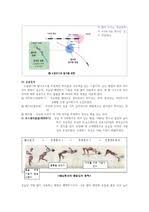 스포츠 속에 숨어있는 과학적 원리 탐구. ë†'ì´ë›°ê¸°ì˜ ì´í•´ì™€ ì§€ë„ ë ˆí¬íŠ¸