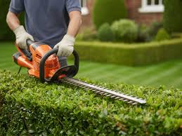 Professional Garden Maintenance Services throughout London & the Greater London area