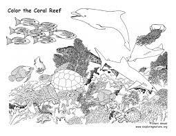 Check spelling or type a new query. Coral Reef Coloring Page