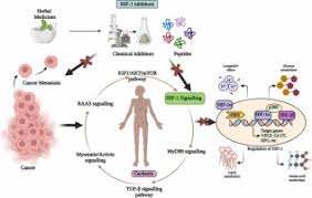 Image result for Cachexia in Cancer