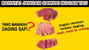 Contoh soal cpns yang kami sajikan disini tidak hanya contoh soal dan kunci jawabannya saja, namun lengkap dengan pembahasannya. Kisi Kisi Soal Polri Part 4 Soal Tni Polri Soal Tkm Polri Soal Akademik Bintara Polri 2020 Youtube