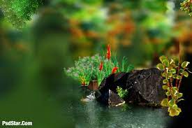 50+ laptop car wallpaper hd 1080p free download pictures. Background Images Hd 1080p Free Download