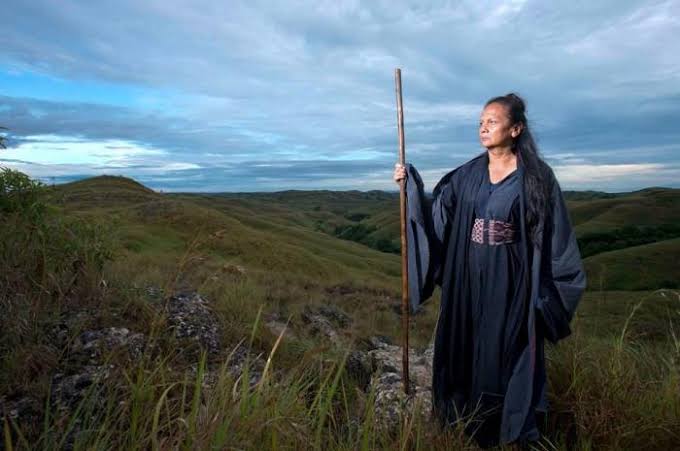 Pendekar Tongkat Emas” aka “The Golden Cane Warrior” (2014) Indonesian  Martial Arts/ Action – “Martial Arts Mayhem: Fighting Femmes Festival –  2016” – Nekoneko's Movie Litterbox