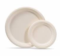 China 100% Biodegradable Sugarcane Pulp Bagasse Plate ...