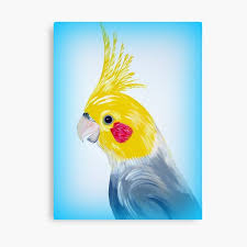The christmas cactus can be propagated either way. With A Cockatiel Canvas Prints Redbubble